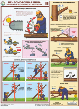 ПС25 Бензомоторная пила. Безопасность работ на лесосеке (пластик, А2, 3 листа) - Плакаты - Безопасность труда - Магазин охраны труда Протекторшоп